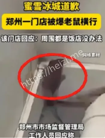 蜜雪冰城郑州门店老鼠