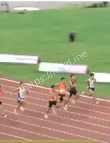 全运会男子百米李泽洋夺冠